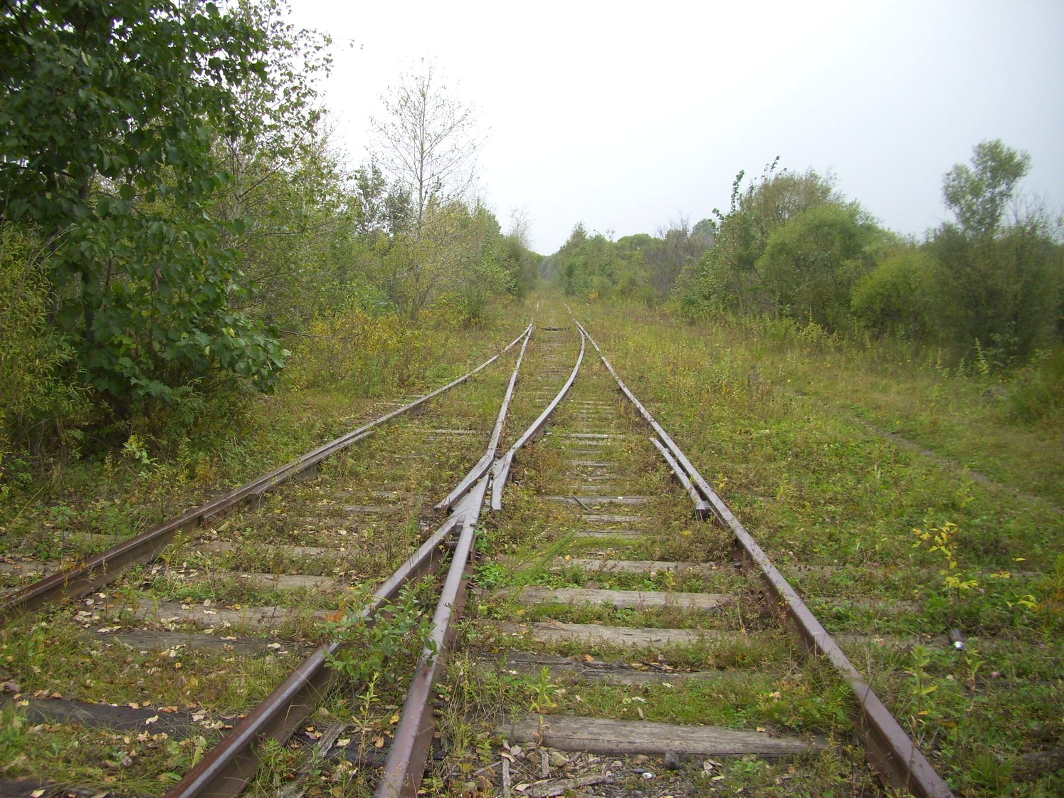Оборская железная дорога — фотографии, сделанные в 2009 году (часть 7)