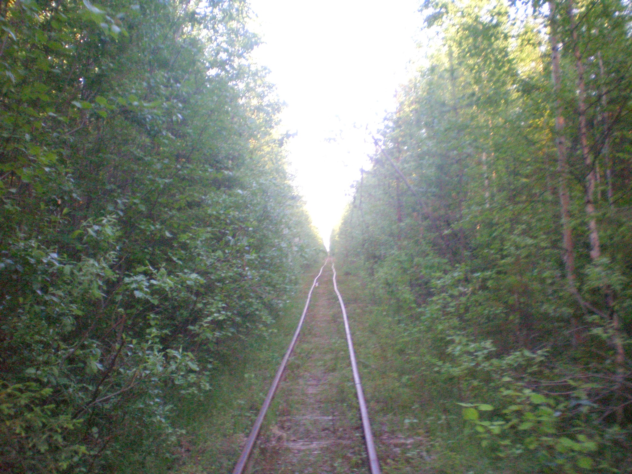Смолянская узкоколейная железная дорога  —  фотографии, сделанные в 2008 году (часть 6)