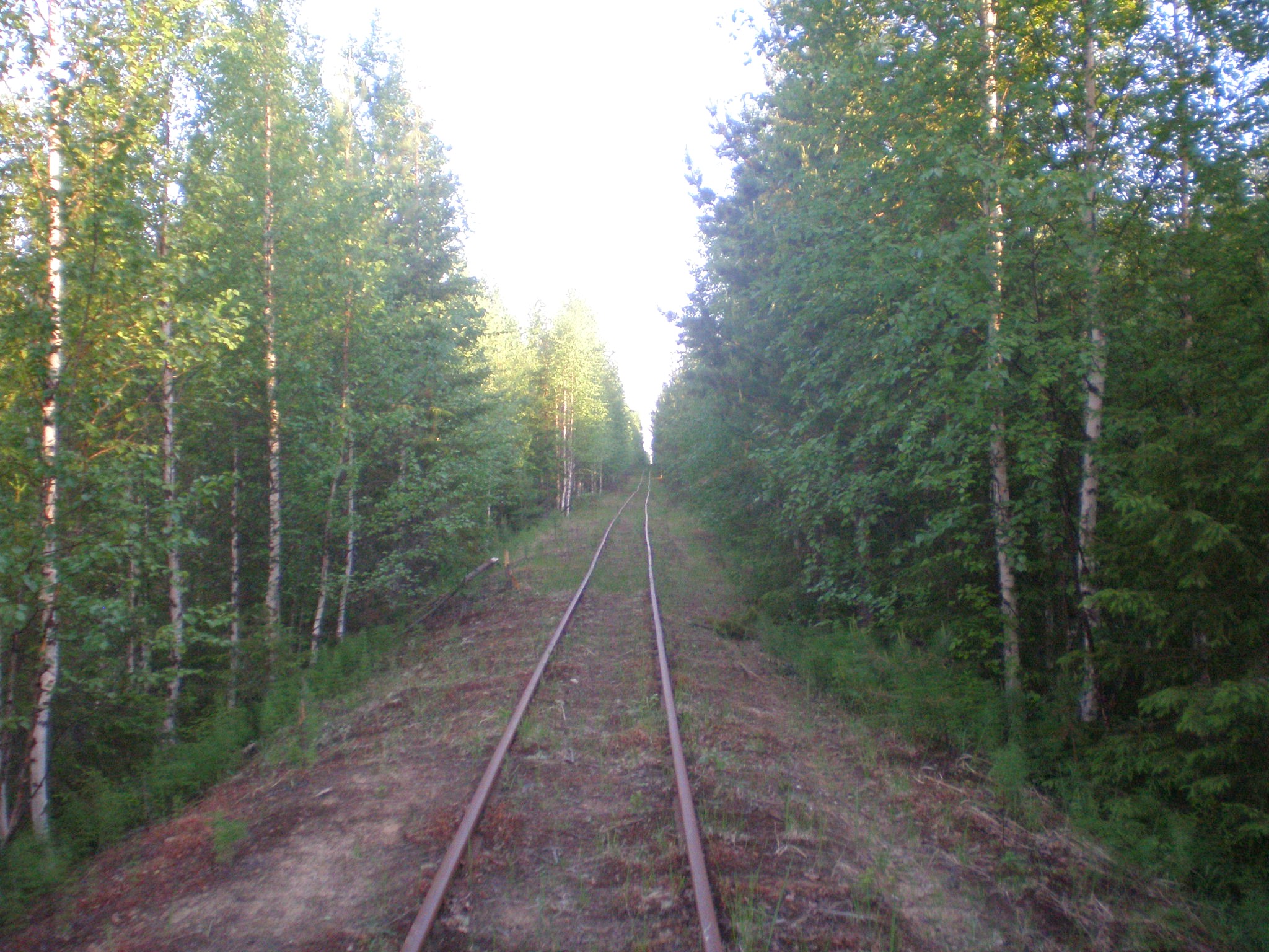 Смолянская узкоколейная железная дорога  —  фотографии, сделанные в 2008 году (часть 7)