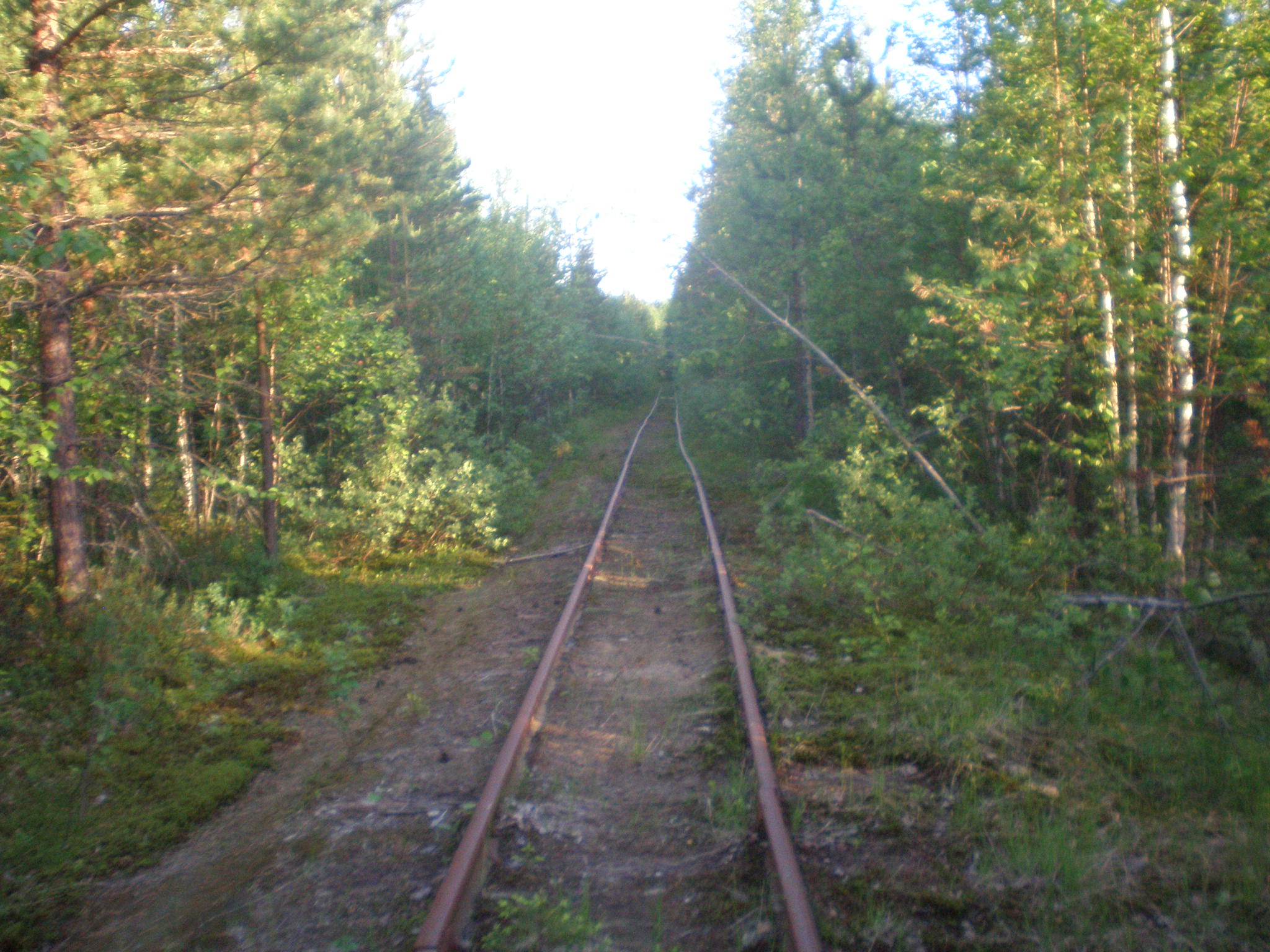 Смолянская узкоколейная железная дорога  —  фотографии, сделанные в 2008 году (часть 8)