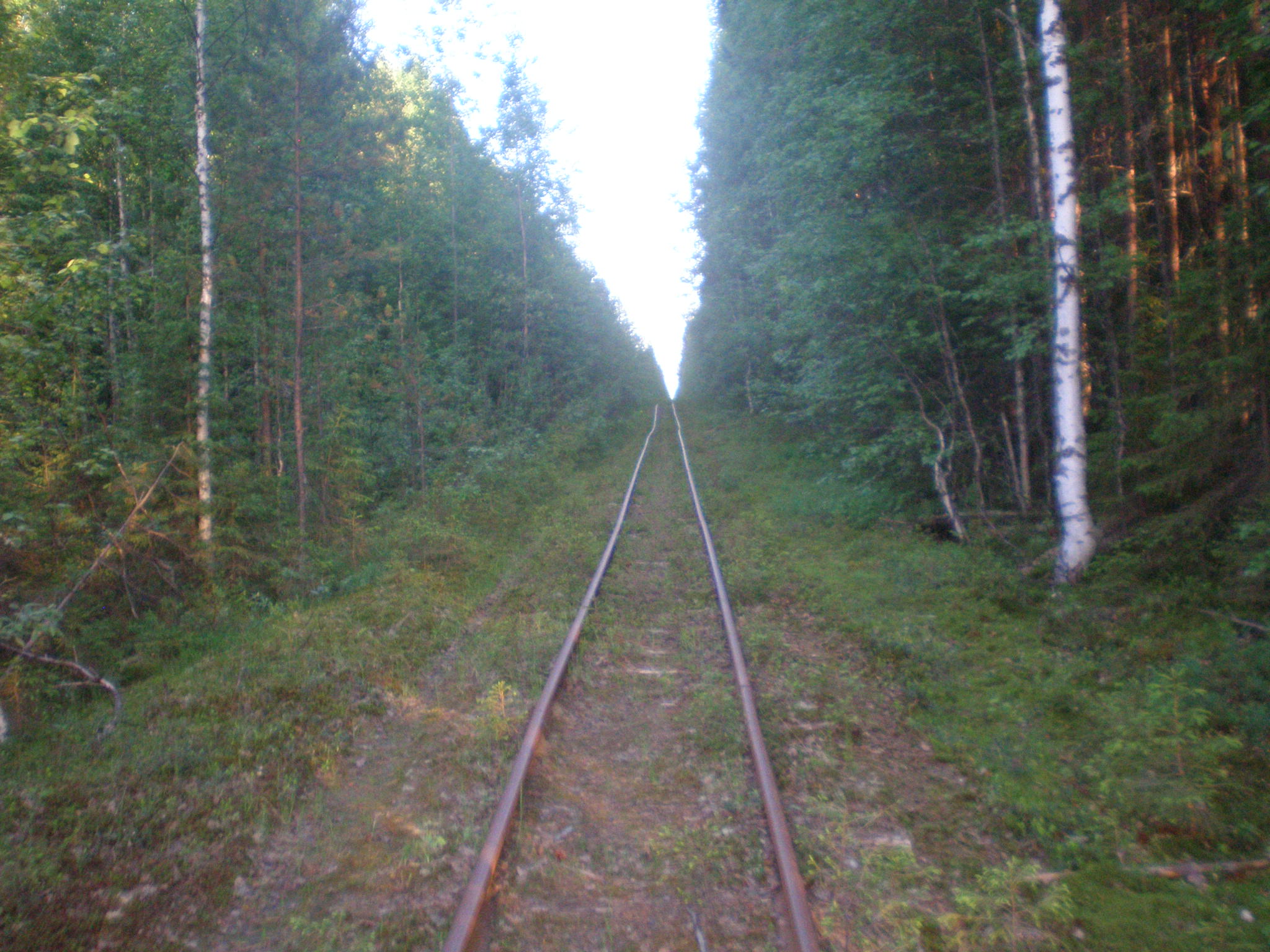 Смолянская узкоколейная железная дорога  —  фотографии, сделанные в 2008 году (часть 9)