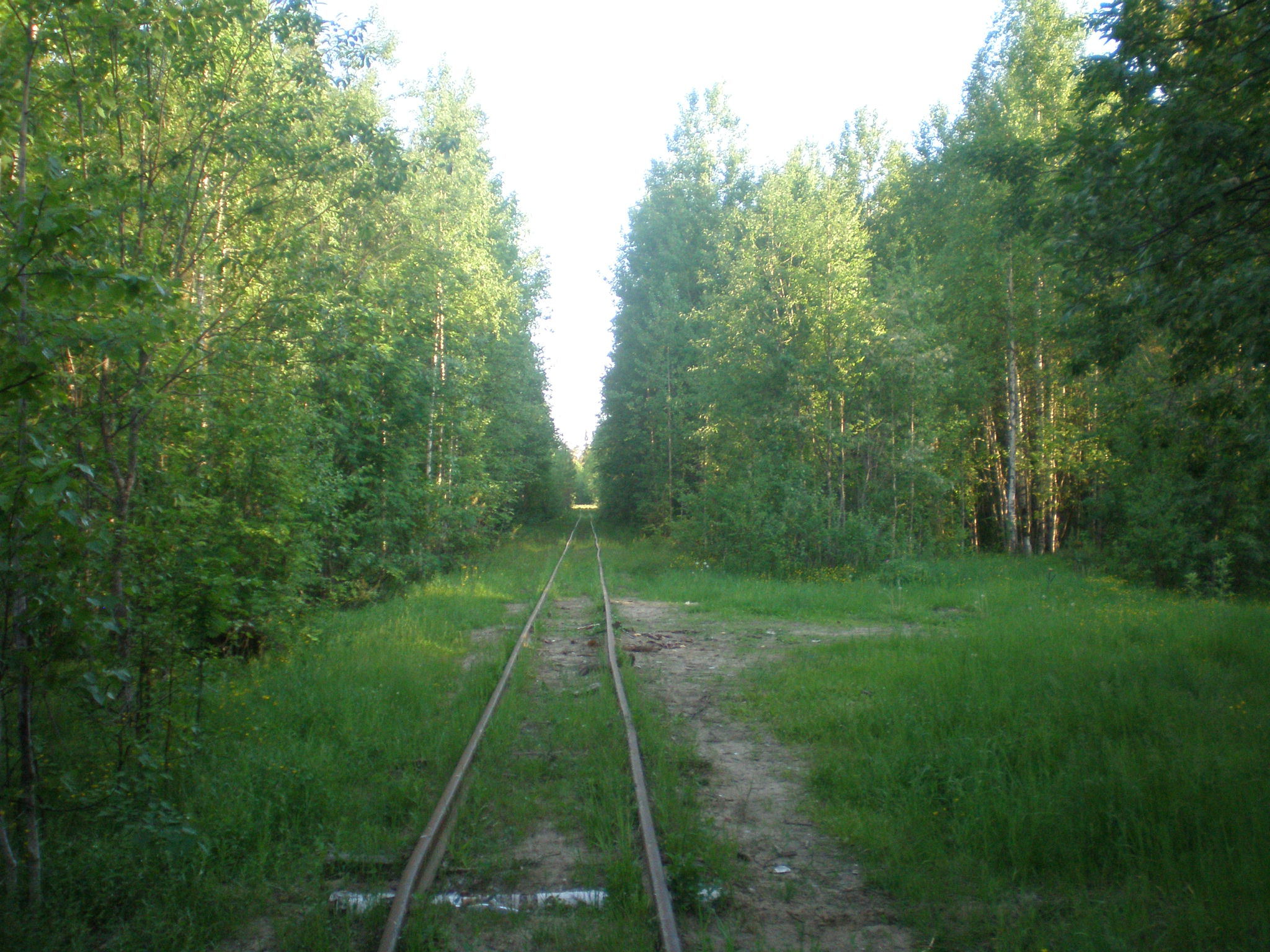 Смолянская узкоколейная железная дорога  —  фотографии, сделанные в 2008 году (часть 4)