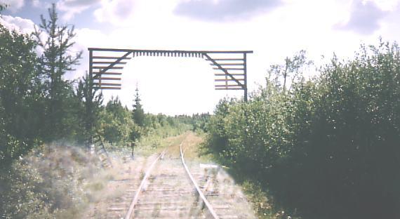 Сусоловская узкоколейная железная дорога  — фотографии, сделанные в 2004 году