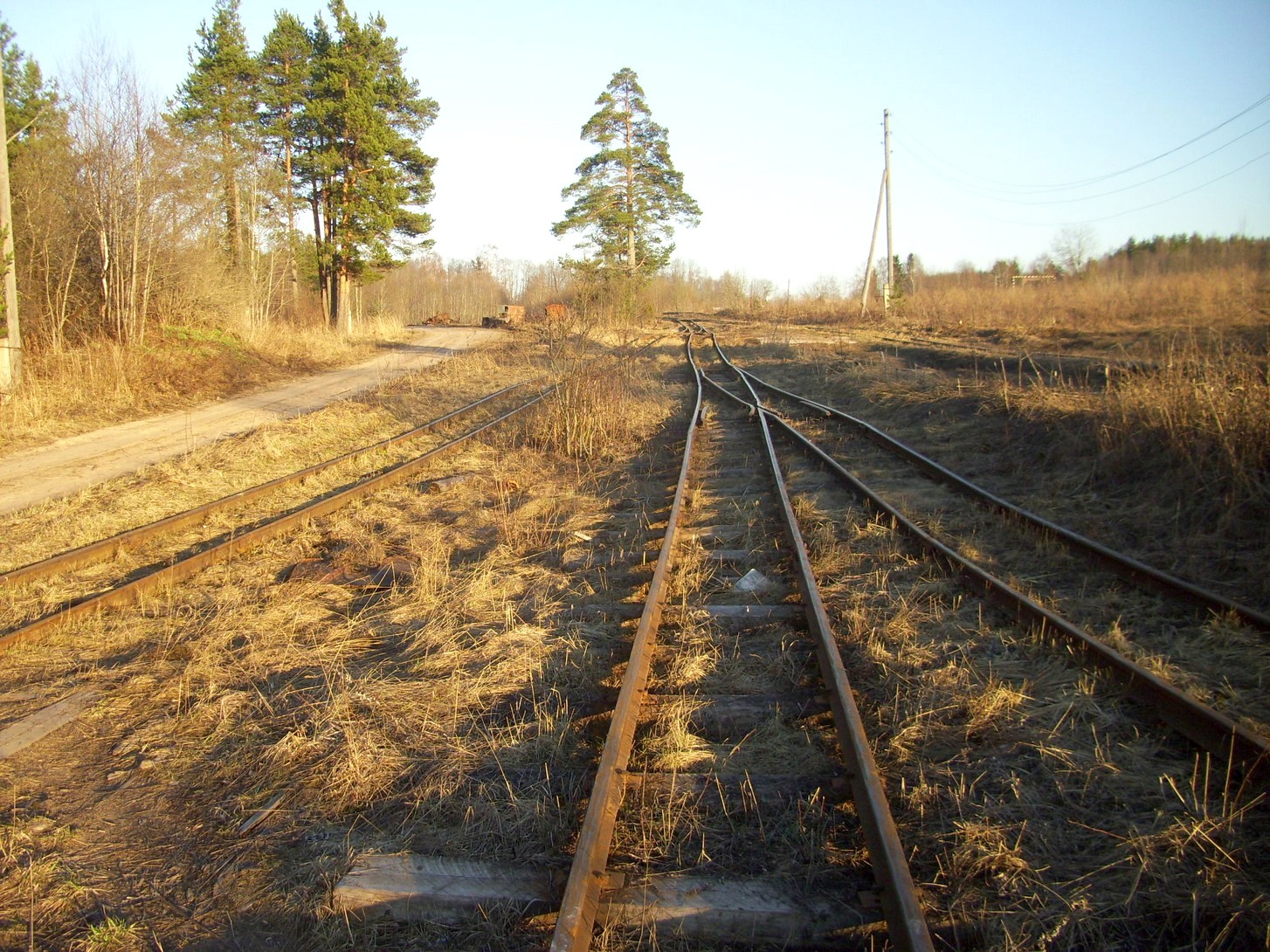 Горбачёвская узкоколейная железная дорога — фотографии, сделанные в 2012 году (часть 1)
