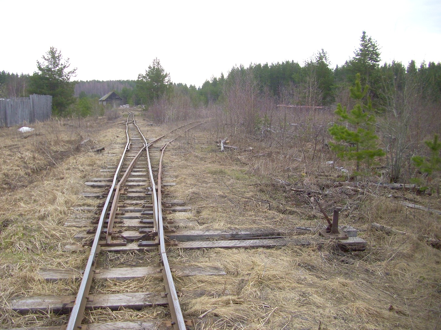 Горбачёвская узкоколейная железная дорога — фотографии, сделанные в 2012 году (часть 6)