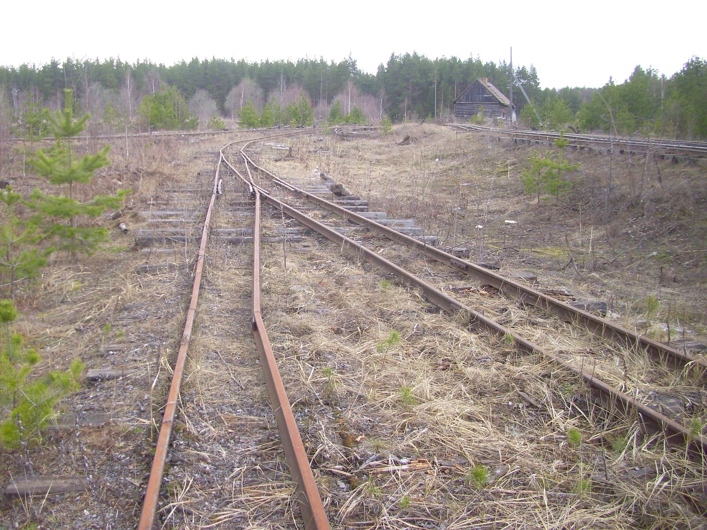 Горбачёвская узкоколейная железная дорога — фотографии, сделанные в 2012 году (часть 7)