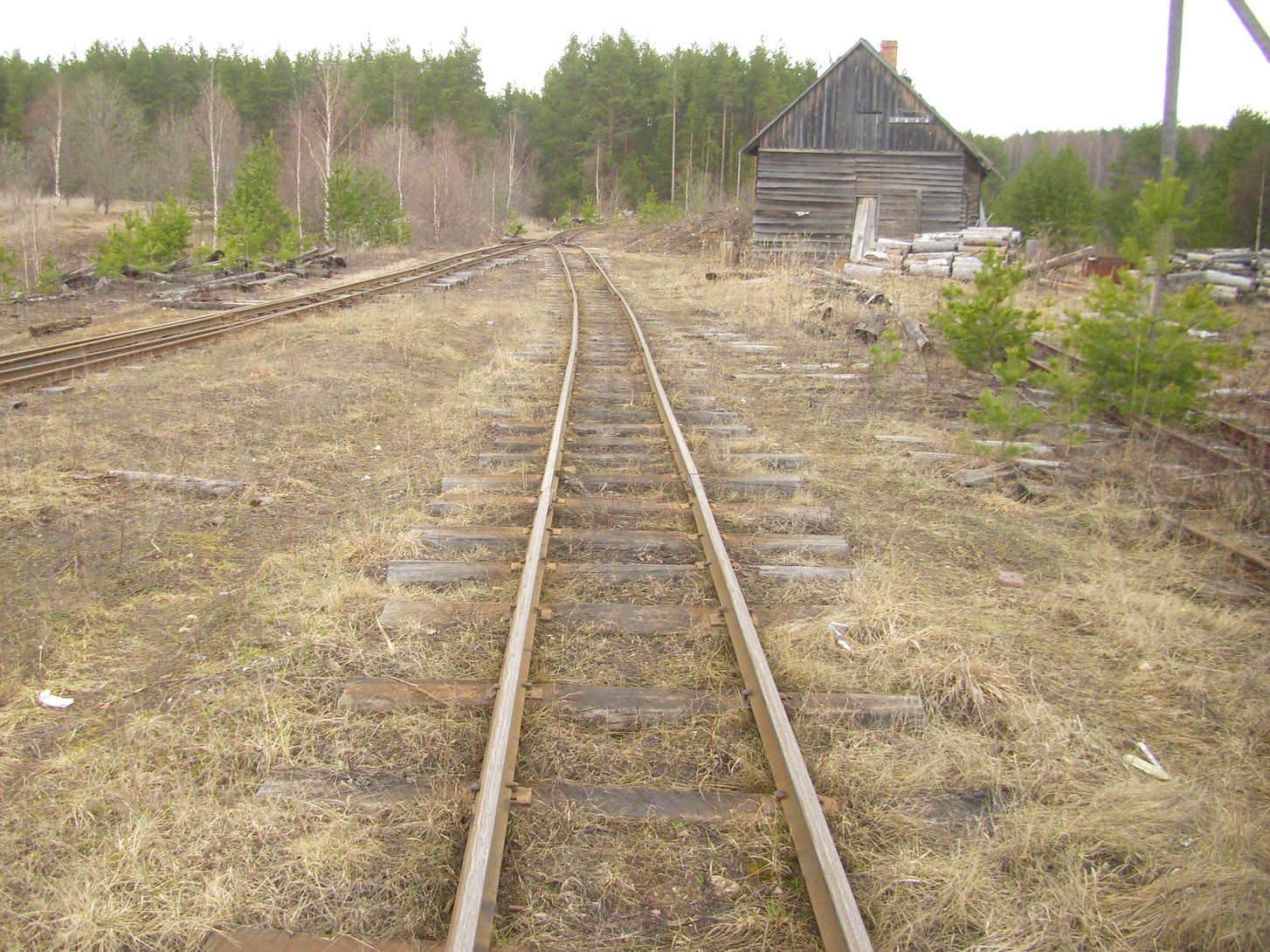 Горбачёвская узкоколейная железная дорога — фотографии, сделанные в 2012 году (часть 8)