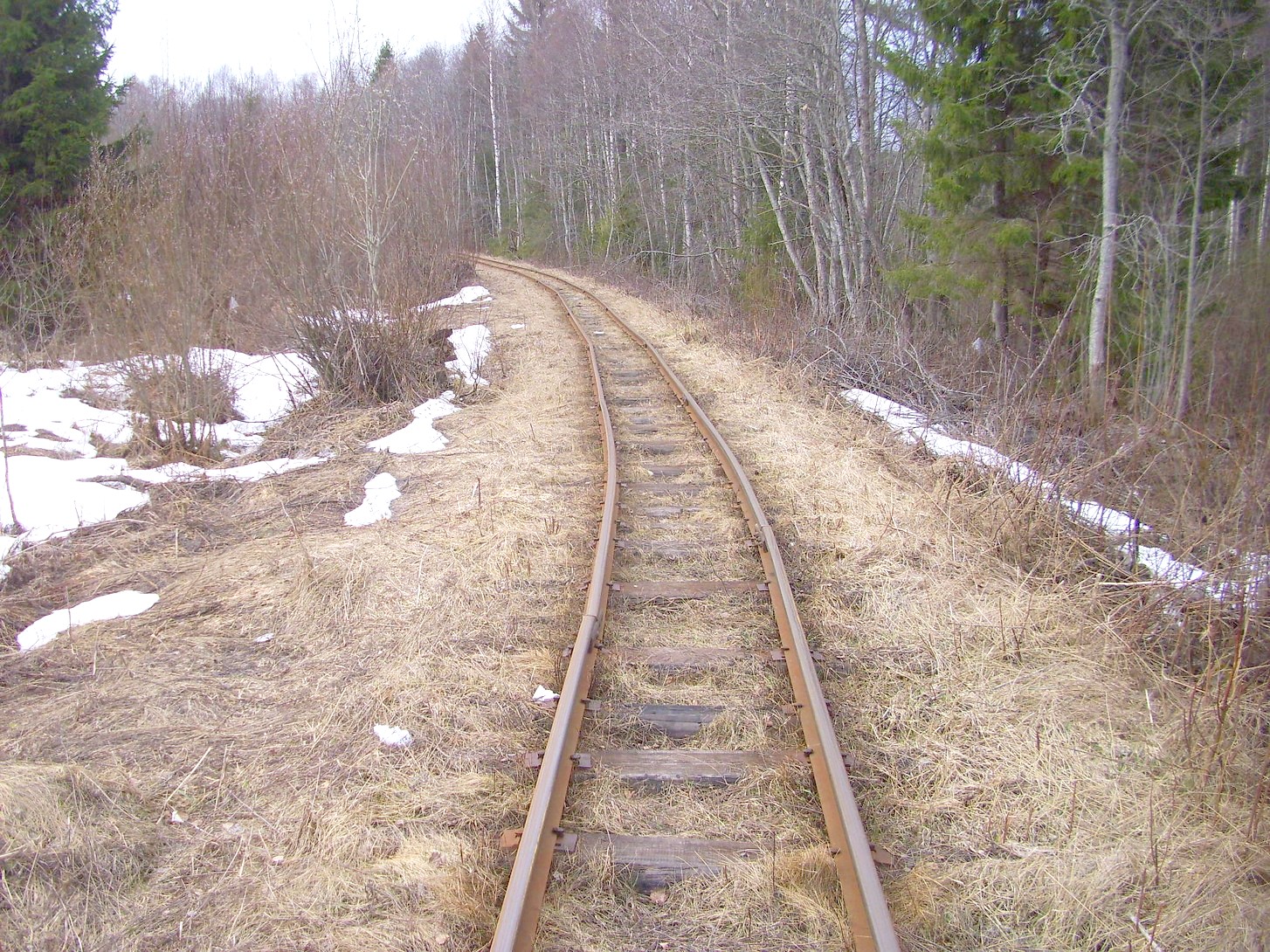 Горбачёвская узкоколейная железная дорога — фотографии, сделанные в 2012 году (часть 10)