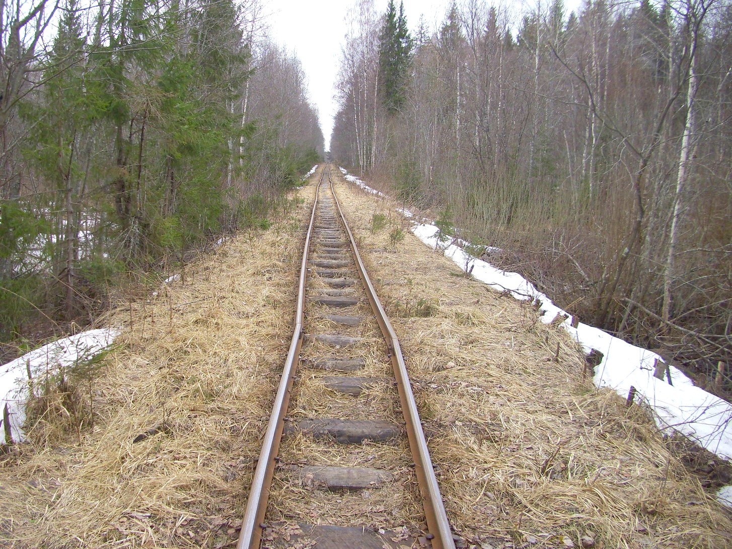 Горбачёвская узкоколейная железная дорога — фотографии, сделанные в 2012 году (часть 11)