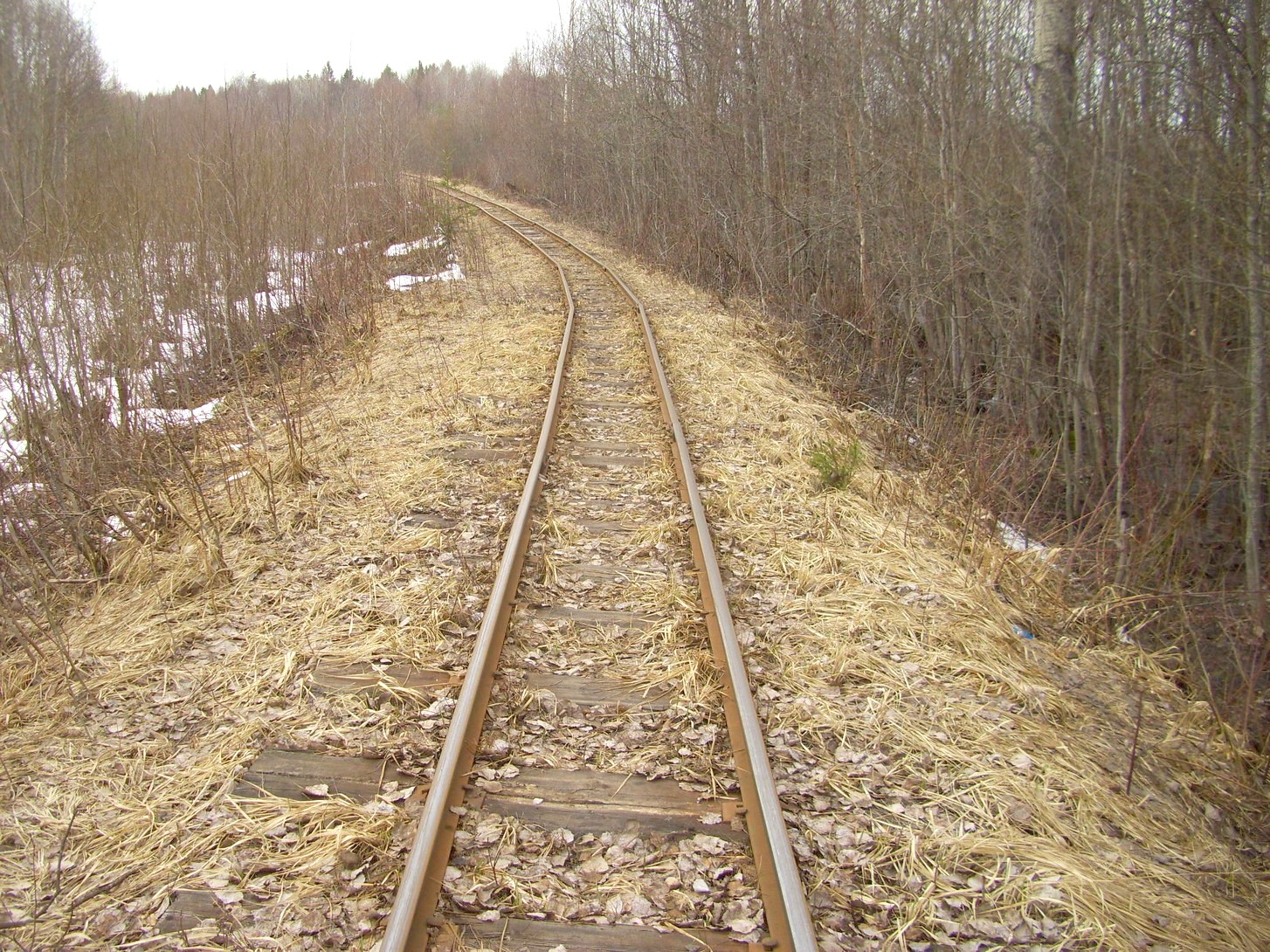 Горбачёвская узкоколейная железная дорога — фотографии, сделанные в 2012 году (часть 12)