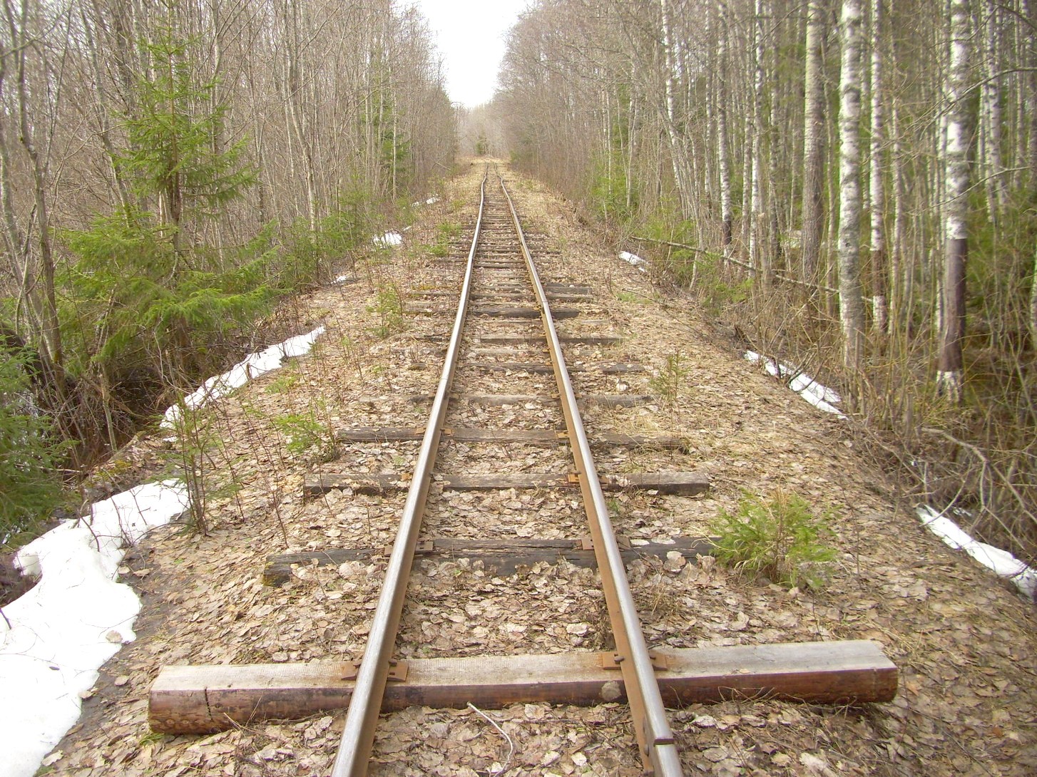 Горбачёвская узкоколейная железная дорога — фотографии, сделанные в 2012 году (часть 13)