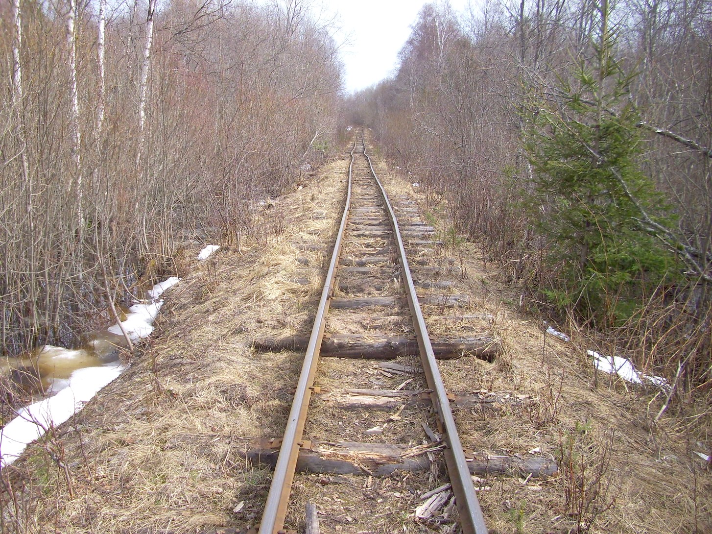Горбачёвская узкоколейная железная дорога — фотографии, сделанные в 2012 году (часть 14)