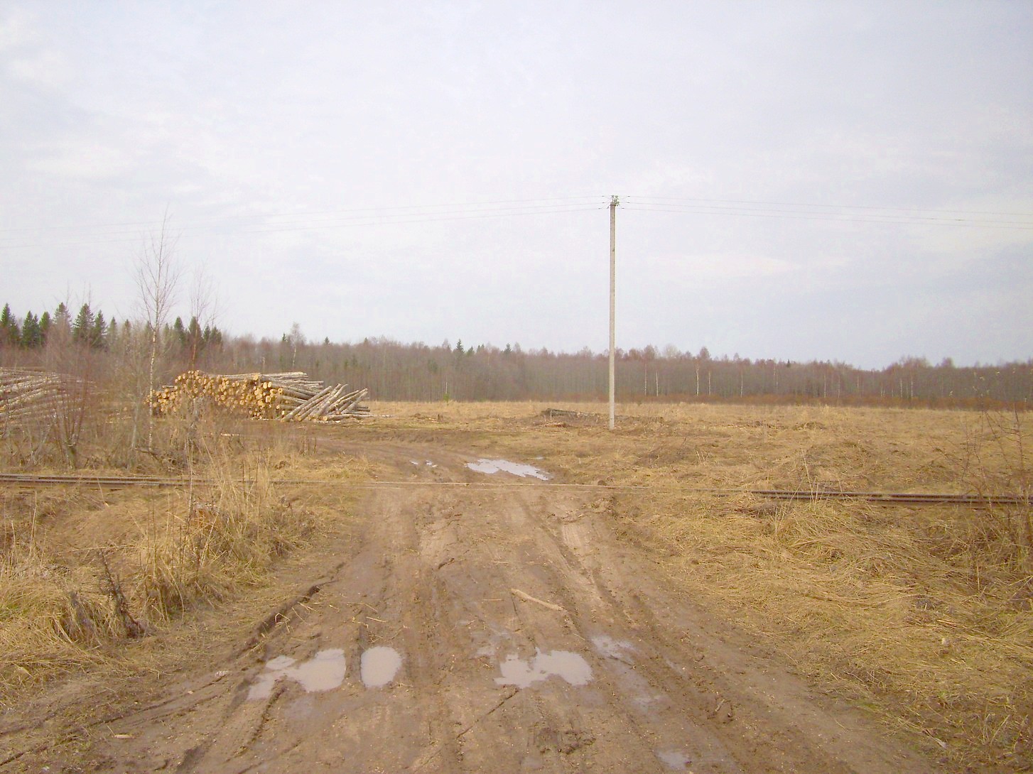 Горбачёвская узкоколейная железная дорога — фотографии, сделанные в 2012 году (часть 15)