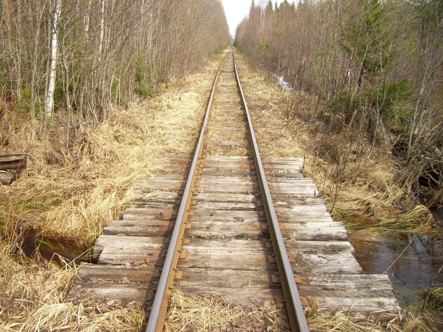 Горбачёвская узкоколейная железная дорога — фотографии, сделанные в 2012 году (часть 17)