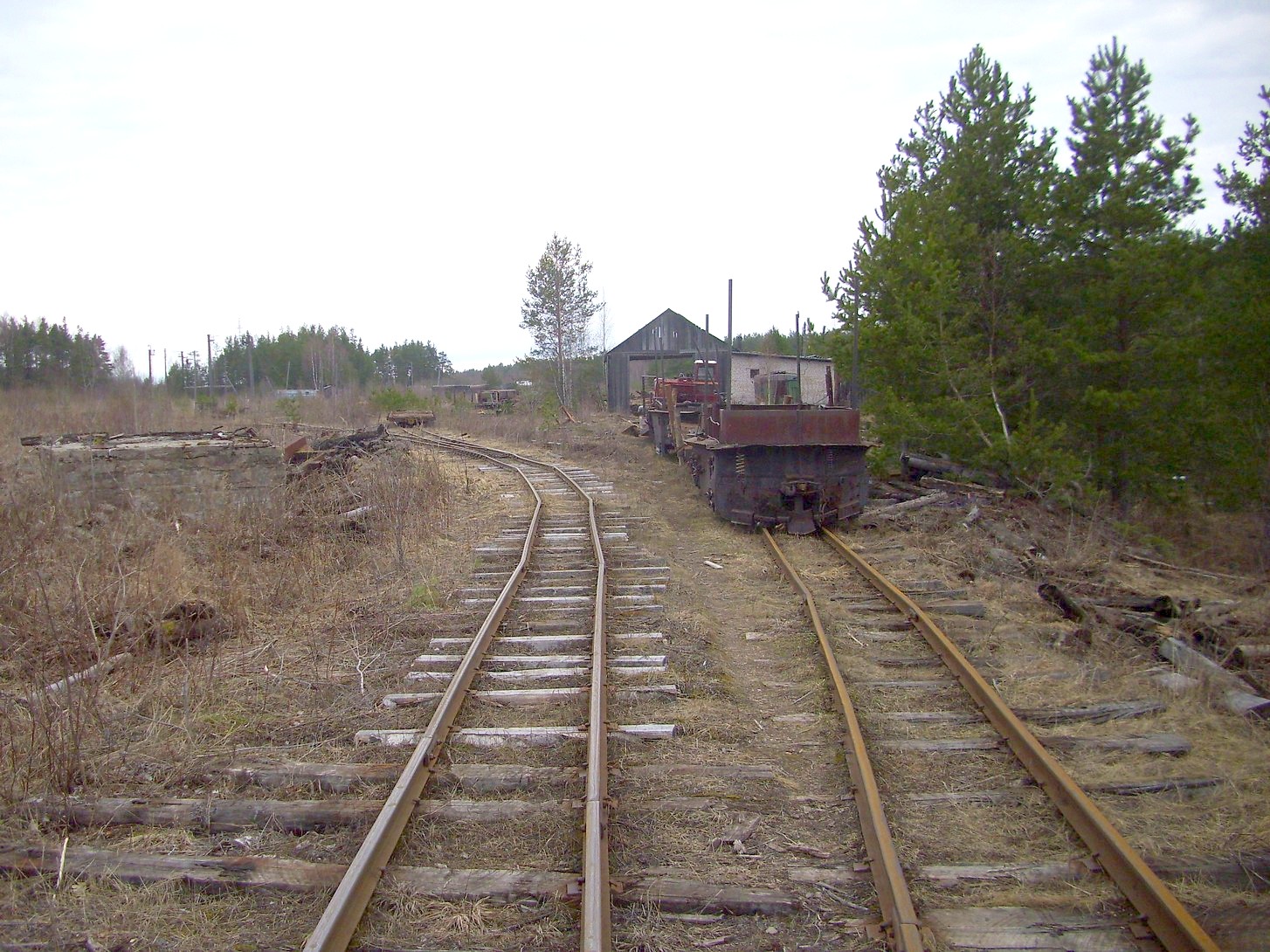Горбачёвская узкоколейная железная дорога — фотографии, сделанные в 2012 году (часть 4)