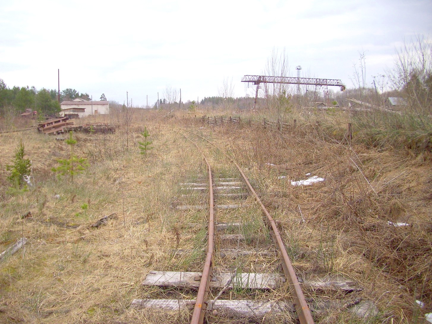 Горбачёвская узкоколейная железная дорога — фотографии, сделанные в 2012 году (часть 5)