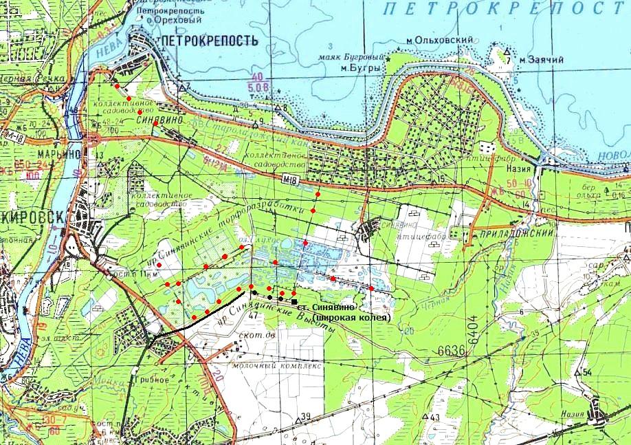 Карта кировского района ленинградской области со спутника